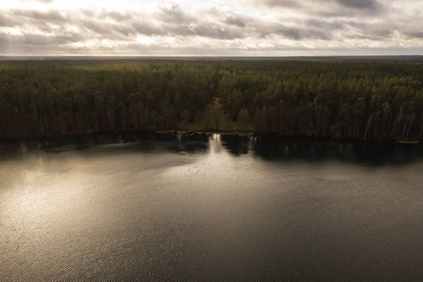 istock Drone view of lake shore and skyline 1217638943