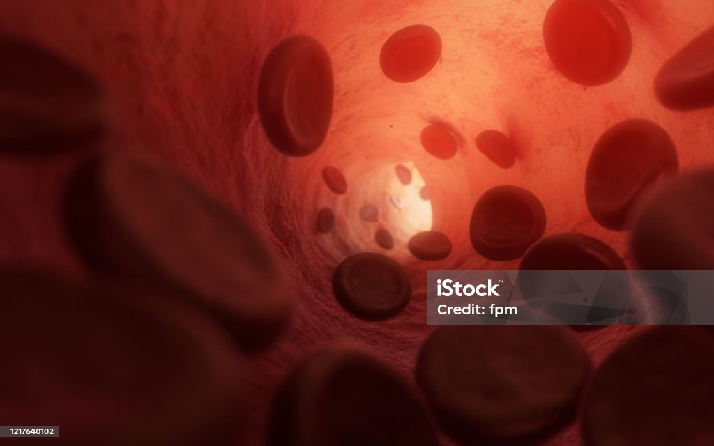 Flow of Red Blood Cells (RBC) inside a Vein Erythrocytes streaming in blood plasma inside a vessel. Light shining through the skin. Photorealistic 3d Illustration. Blood Stock Photo