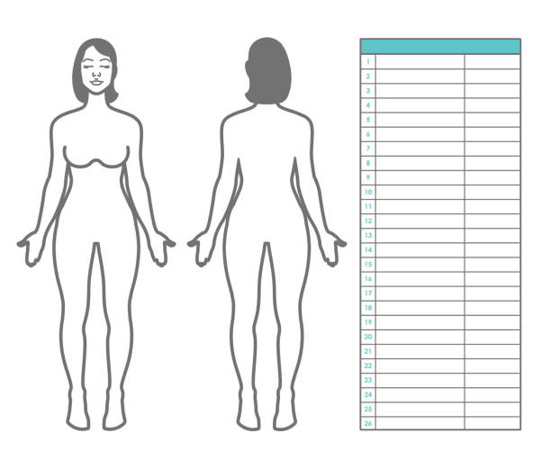 https://media.istockphoto.com/id/1217640823/vector/woman-body-measurement-scheme-of-measurement-human-body-front-and-back-table-for-entries-and.jpg?s=612x612&w=0&k=20&c=7_HPMi2bOIPh_o4ES014J93e2k74gQVagadOCqSM0Xo=