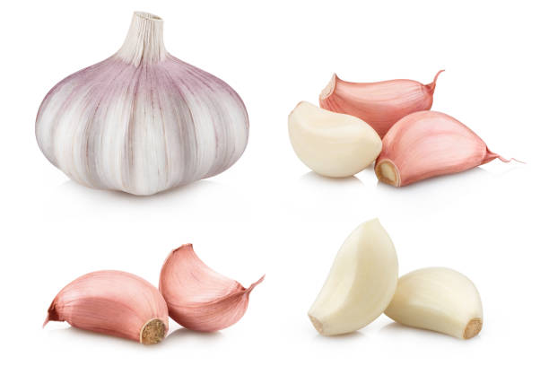 raccolta di aglio e spicchi su bianco - garlic freshness isolated vegetarian food foto e immagini stock