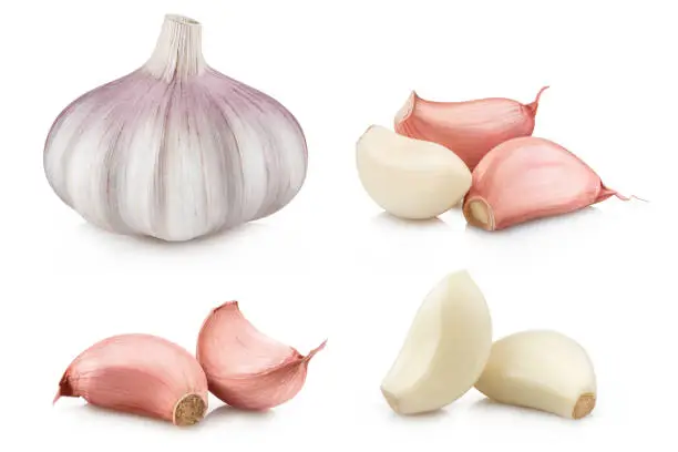 Collection of garlic and cloves, isolated on white background