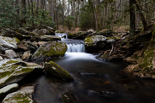 Small waterfall on Grassy Creek in Doughton Park near the Blue Ridge Parkway in North Carolina on a spring day.