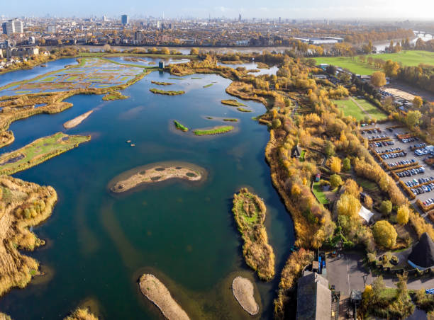 London wetland in the autumn London wetland in the autumn richmond park stock pictures, royalty-free photos & images