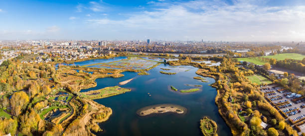 London wetland in the autumn London wetland in the autumn richmond park stock pictures, royalty-free photos & images