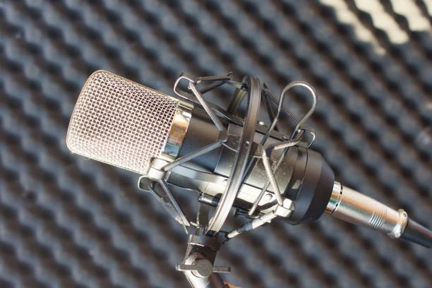 istock Microphone in the music recording studio 1217650875