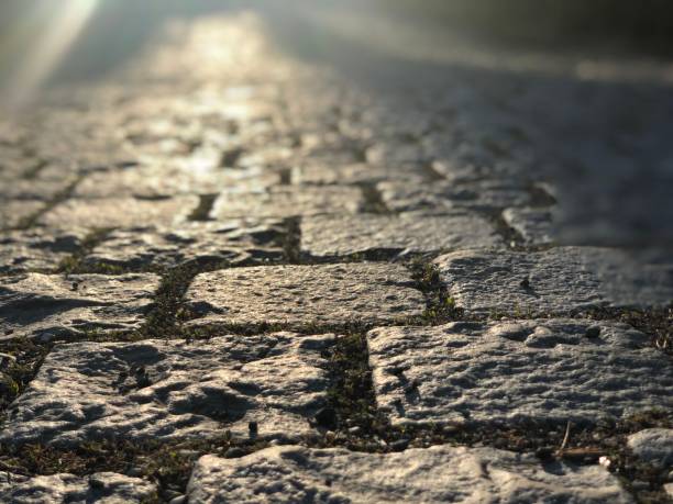 Paving stones in the evening light