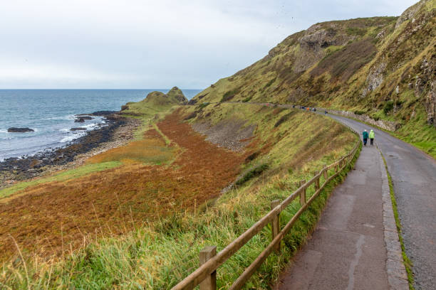 istock Giants causeway in autumn, Northern Ireland 1217657607