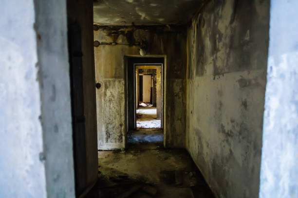 istock Abandoned buildings of ghost town Pripyat Chornobyl Zone 1217659090