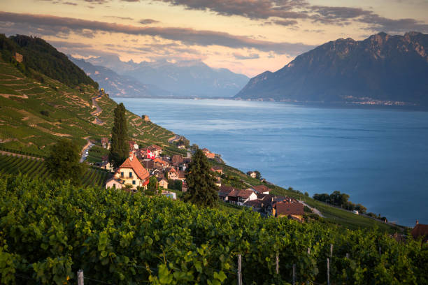 istock Lavaux region, Vaud 1217663483