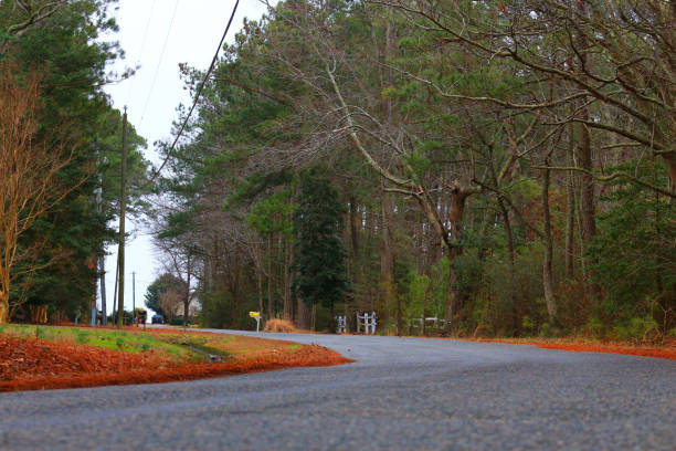 Spring time in Virginia is just beautiful