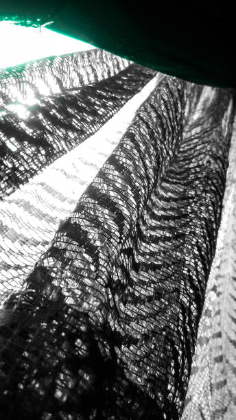 istock Vintage old curtain 1217665759