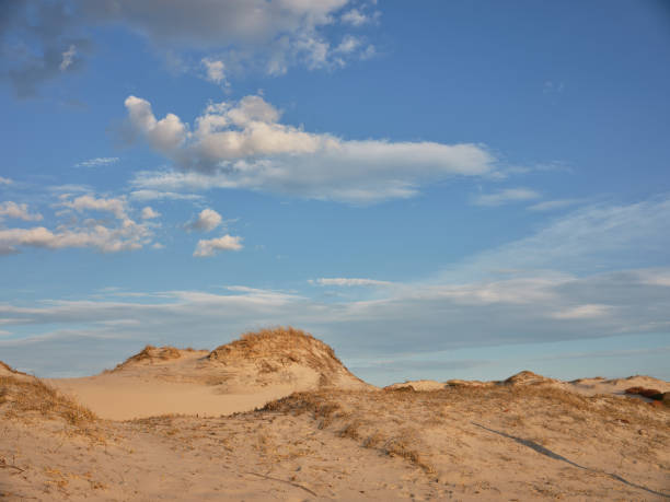 istock Horizontal image of New Jersey's Island Beach State Park and the Protected and endangered sand dunes in late afternoon light on an empty beach 1217667562