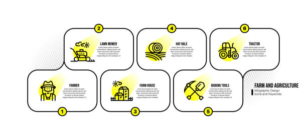 ilustrações, clipart, desenhos animados e ícones de modelo de design infográfico com palavras-chave e ícones agrícolas - stubble