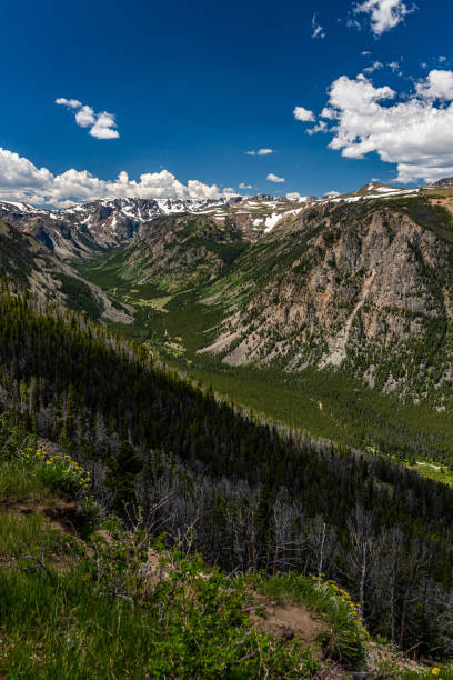 istock Beartooth Highway Wyoming and Montana 1217668622