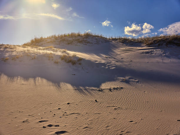 istock Horizontal image of New Jersey's Island Beach State Park and the Protected and endangered sand dunes in late afternoon light on an empty beach 1217668782