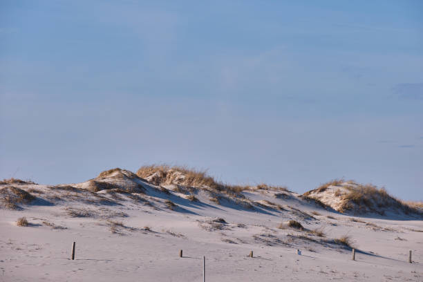 istock Horizontal image of New Jersey's Island Beach State Park and the Protected and endangered sand dunes in late afternoon light on an empty beach 1217670301