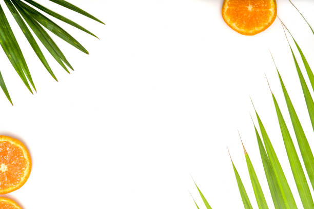 istock Frame for text from green palm leaf branches and citruses on a white background. 1217670393