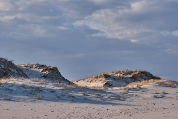 istock Horizontal image of New Jersey's Island Beach State Park and the Protected and endangered sand dunes in late afternoon light on an empty beach 1217670506