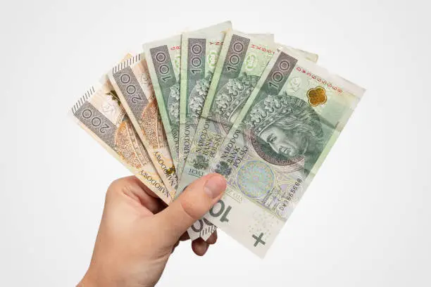 Hand holding PLN banknotes. Polish zloty currency, salary or loan concept, hand isolated