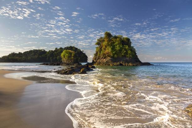 playa espadilla beach manuel antonio national park costa rica - pacific ocean fotos imagens e fotografias de stock