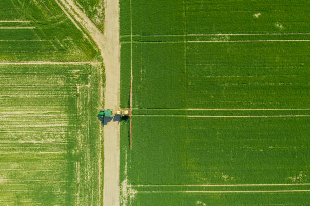 istock Agriculture Tractor Working in Field 1217672637