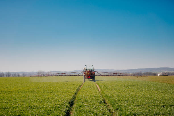 istock Agriculture Tractor Working in Field 1217672788