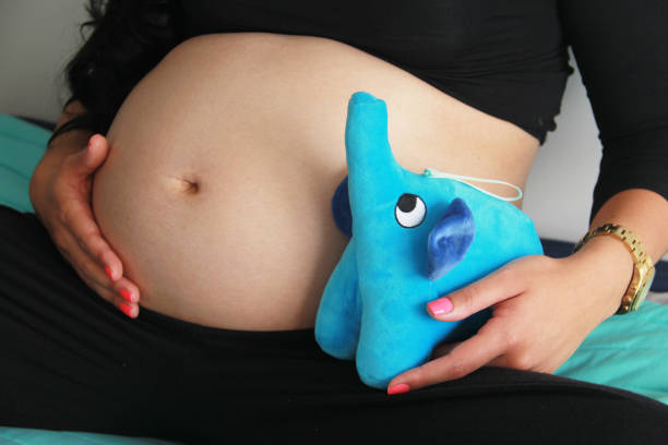 istock Pregnant woman with stuffed toy 1217674975