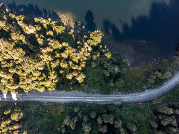 istock Carretera Austral beside Risopatron lake 1217676170