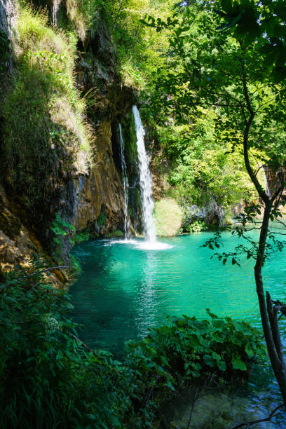 istock Waterfall and Lush Green Plants 1217676291