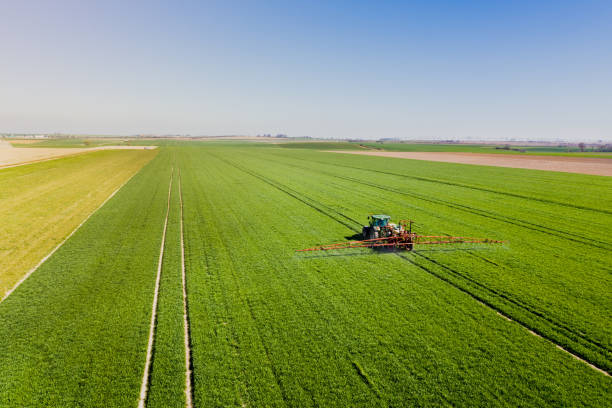 tracteur agricole travaillant dans le domaine - monoculture photos et images de collection