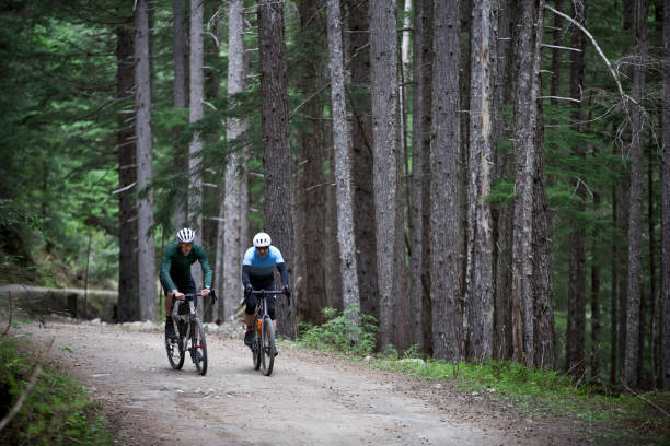 istock Gravel Road Bicycle Adventure 1217678625