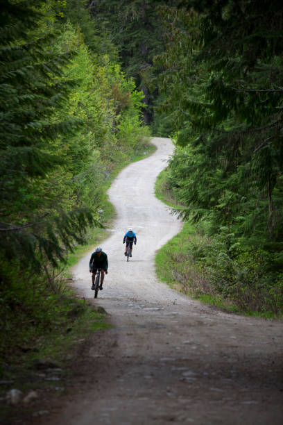 istock Gravel Road Bicycle Riders 1217678737