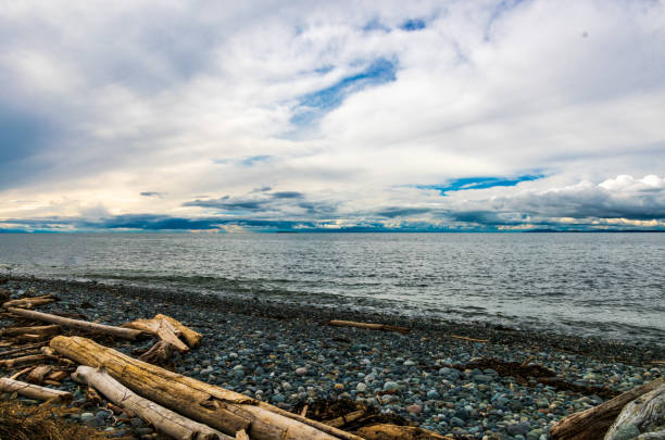 Whidbey Island Beach, Washington, USA