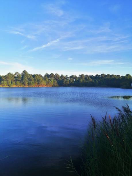 istock Beautiful natural lake 1217684614