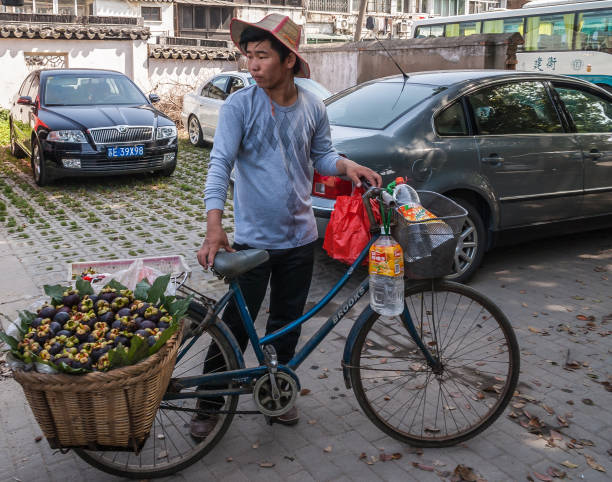 Man and his bike with basket of mangosteen, Suzhou, China. Suzhou China - May 3, 2010: Man with straw hat and blue bike on which hangs a basket full of purple mangosteen and plastic water bottles. Parked cars around. lake tai stock pictures, royalty-free photos & images