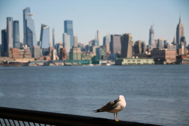 istock View of Manhattan skyline from New Jersey 1217685645