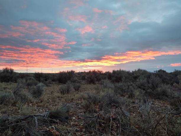 istock Christmas Valley early morning sunrise 1217685793