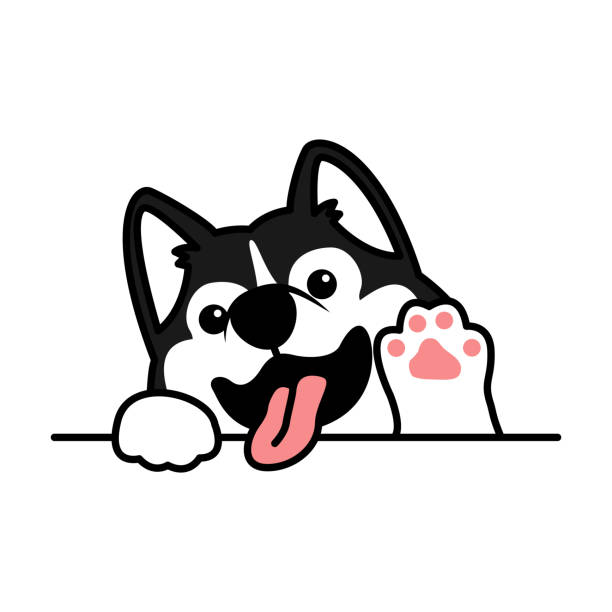 可愛的西伯利亞哈斯基狗揮舞爪子卡通,向量插圖 - 哈士奇 圖片 幅插畫檔、美工圖案、卡通及圖標