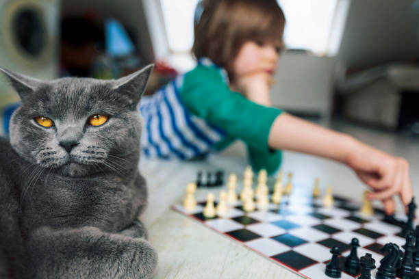 istock Little boy playing chess. Cat next to him. 1217687647