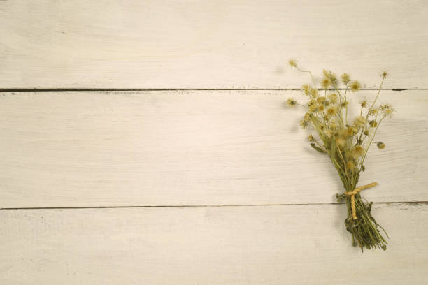 istock Dried flower on wood background. 1217688410