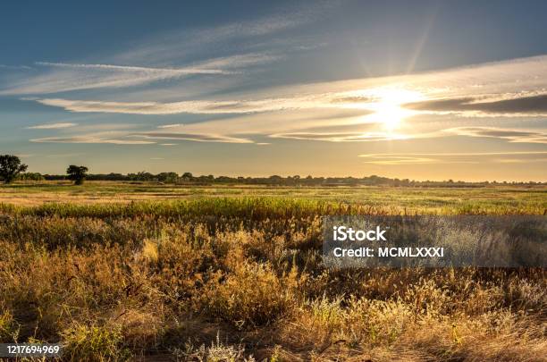 Golden Hour Landscape Of Wild Grass Flowing In The Wind In The Wetlands Of The Cosumnes River Preserve In Galt California With The Sun Setting Through Clouds On The Horizon Stock Photo - Download Image Now