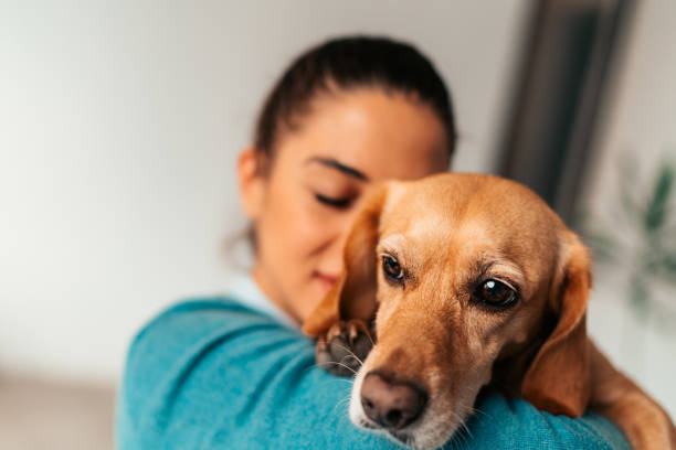 istock Young woman embracing small brown dog 1217695927