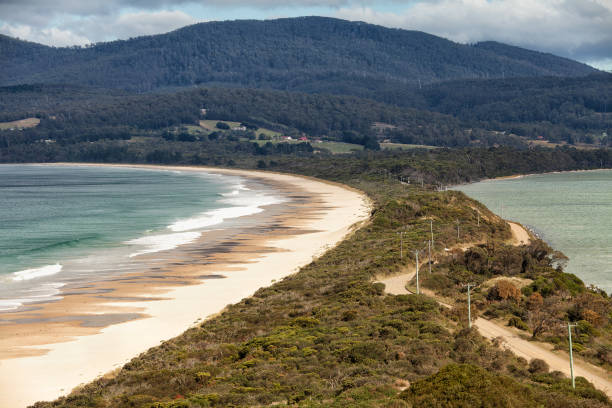 istock View from an elevated lookout over The Neck, Bruny Island 1217705946
