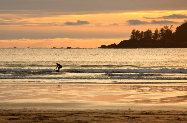 istock Surfer at Sunset at Tofino British Columbia 1217707097