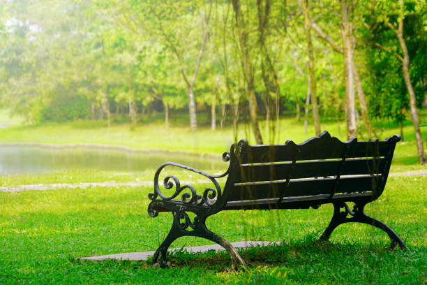 istock Bench in garden in sunny day nobody. 1217707117