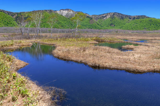 Mt. Keizuru seen from Ozegahara Marshland in the spring.Ozegahara Marshland is largest highland marsh in Japan.