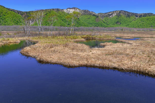 Mt. Keizuru seen from Ozegahara Marshland in the spring.Ozegahara Marshland is largest highland marsh in Japan.