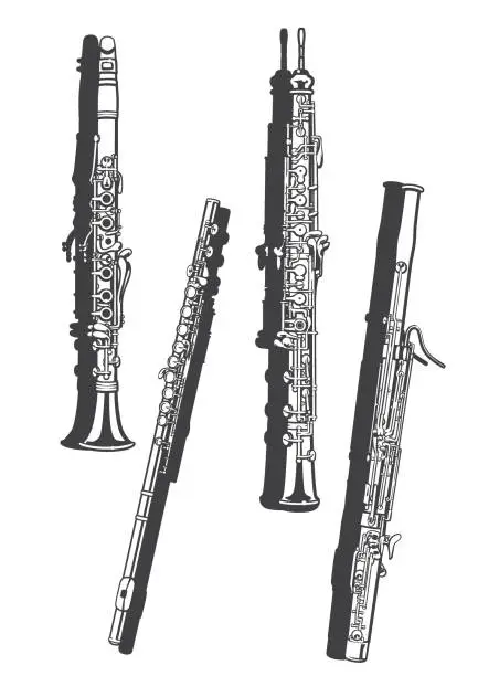 Vector illustration of Vetcor illustration of woodwind instruments.
