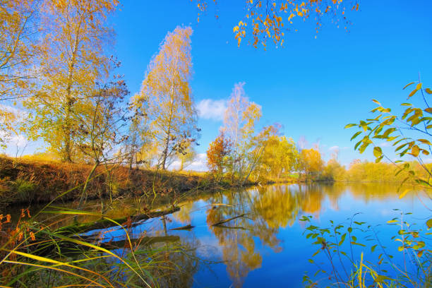 a small pond in Zittau Mountains, autumn