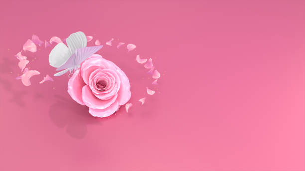 istock Butterflies fly on flowers 1217713179